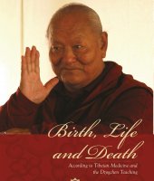 [ebook] Birth, Life and Death (epub)