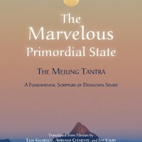 The Marvelous Primordial State