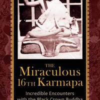 The Miraculous 16th Karmapa